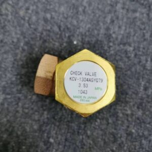 End face of angle brass check valve with nameplate, printed model and pressure parameter