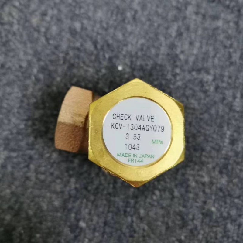 End face of angle brass check valve with nameplate, printed model and pressure parameter