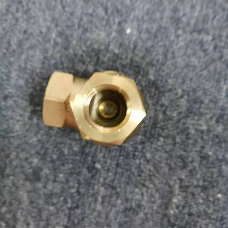 Other port of check valve, built-in sealing plug visible inside