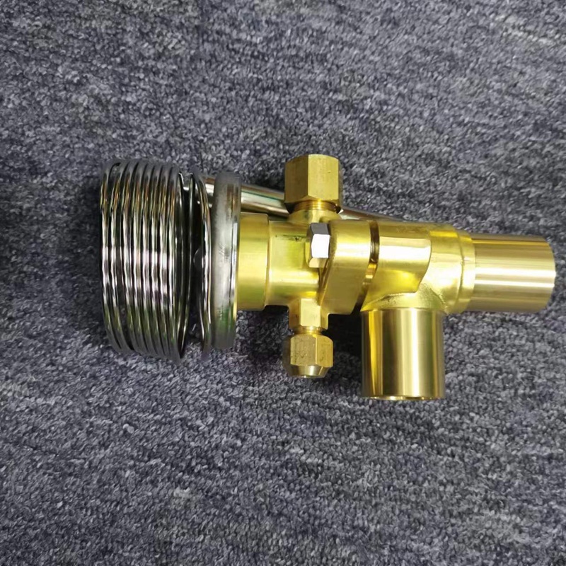 Side overall view of expansion valve